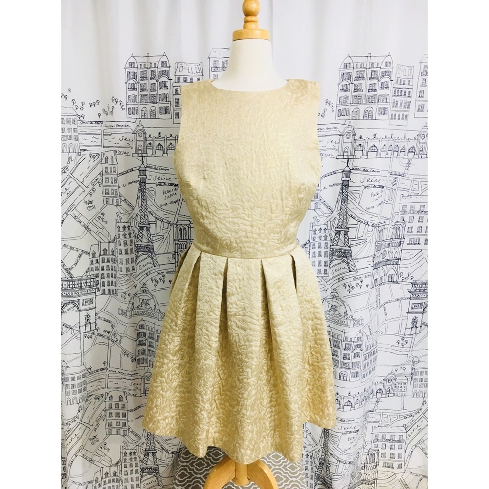 Gold Shimmer Antique Skater Dress